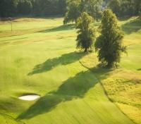 Golf fairways
